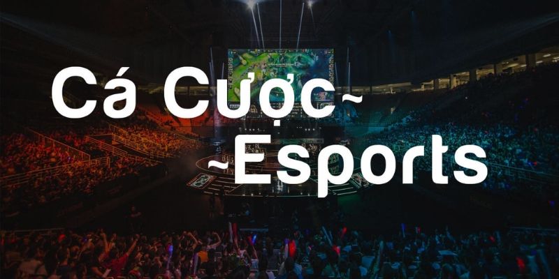 Bật mí mẹo hay để tham gia cá cược Esport KUBET thắng lớn